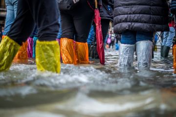 Peristiwa banjir sangat berdampak bagi lingkungan makhluk hidup.