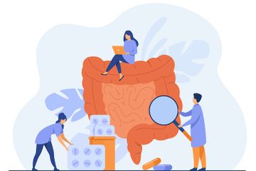 Sistem Pencernaan pada Manusia