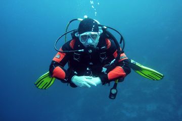 Apa Bedanya Snorkeling dan Diving?
