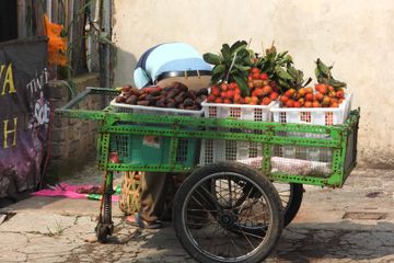 Menjawab soal Land, Fruit and Spices pada buku Bahasa Inggris Kelas VII Chapter 7.