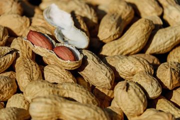 Kacang-kacangan memiliki beberapa manfaat bagi tubuh.