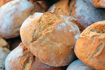 Bioteknologi Pangan: Roti dan Kecap