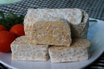 Bioteknologi Pangan: Keju dan Tempe
