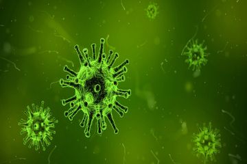 Apa Virus Pertama yang Ditemukan oleh Manusia?