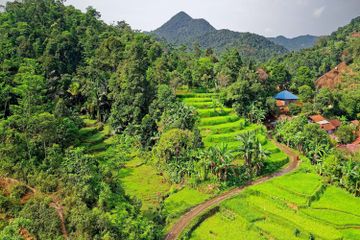 Aktivitas perekonomian di Indonesia terbagi menjadi beberapa jenis.