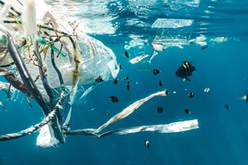 Pembuangan sampah ke sungai termasuk contoh pencemaran lingkungan.
