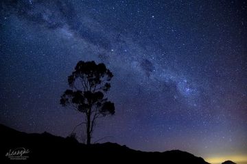 Apakah Bintang Tidak Bergerak?