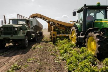 Jurusan Agroteknologi: Deskripsi, Mata Kuliah, dan Prospek Kerja