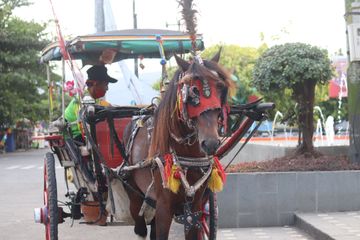 Modernisasi transportasi darat memberikan dampak positif dan negatif bagi masyarakat dan lingkungan.