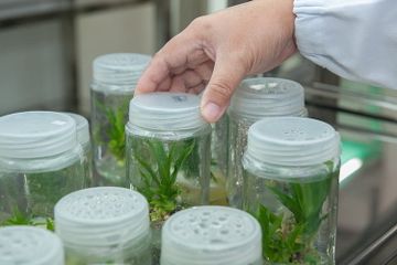 Contoh Soal Materi Bioteknologi