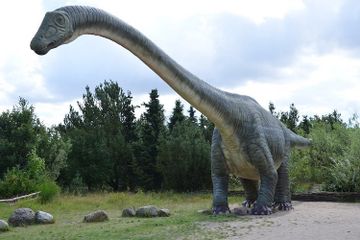 Dinosaurus diperkirakan hidup sekitar 66 sampai 235 juta tahun lalu.