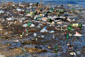 Sampah yang dibuang ke di sekitar perairan dapat memberikan dampak buruk pada ekosistem kita.