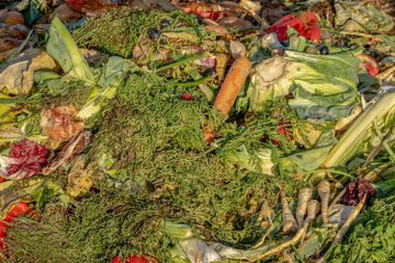 Bagaimana Cara Mengurangi Limbah Makanan di Lingkungan? #AkuBacaAkuTahu