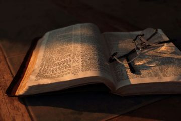 Salah satu jenis narrative text adalah fable, yaitu mengangkat hewan sebagai tokohnya.
