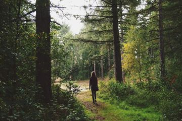 Jawab Soal Kewajiban Manusia terhadap Hutan, Kelas 4 Tema 9