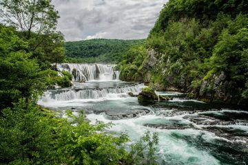 Sungai dan pohon memiliki manfaat bagi kelangsungan kehidupan manusia dan makhluk hidup lainnya.