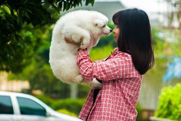 Jawab Soal Ide Pokok dan Kalimat Pengembang pada Teks 'Organ Gerak Manusia dan Hewan', Kelas 5 Tema 1