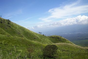 Mengenal Ekosistem Padang Rumput