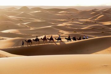 Bukan Gurun Terluas di Dunia, Ini 5 Fakta Menarik Gurun Sahara