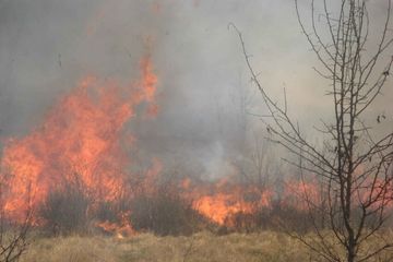 Kabut asap dari kebakaran hutan berbahaya bagi kesehatan manusia.