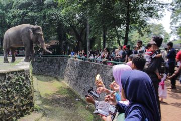 Berapa Harga Tiket Kebun Binatang Ragunan Tahun 2022?