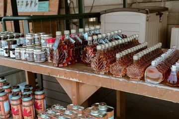 Negara Mana yang Menjadi Produsen Utama Sirup Maple atau Maple Syrup?