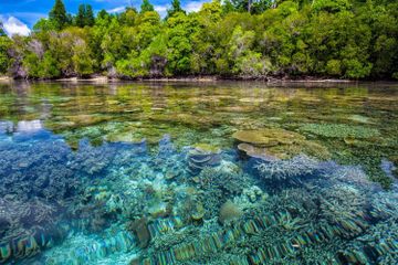 Berlibur ke Maluku Utara? Berikut 5 Tempat Wisata Populer di Halmahera Maluku Utara yang Menarik Dikunjungi
