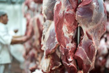 Bagaimana Cara Membedakan Daging Kurban Sapi dan Kambing?