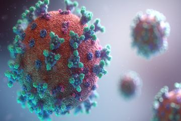 Ciri, Struktur, dan Pengelompokan Virus