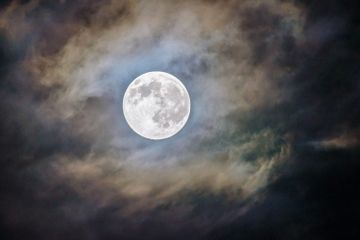 Ada Gerhana Matahari Cincin, Ini Fenomena Astronomi yang Menghiasi Langit Oktober 2024