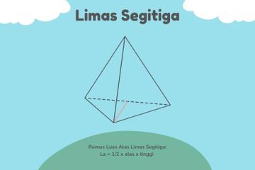 Luas alas limas segitiga sangat penting diketahui agar bisa menemukan volume dan luas permukaan limas segitiga.