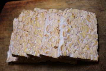 Siapa yang Menciptakan Tempe?