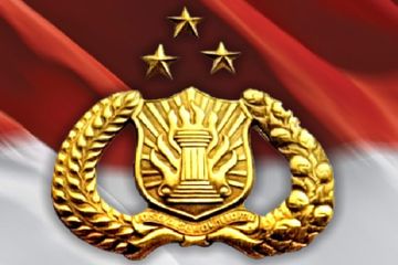 Perpangkatan polisi Indonesia terdiri atas tiga jenjang, yaitu Perwira, Bintara, dan Tamrtama.
