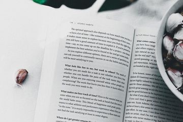 Jawab Soal Bahasa Inggris Kurikulum Merdeka Kelas XI Unit I, Orientation