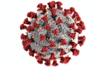 Jawab Soal Aktivitas 2.3 'The Good that Viruses Do', Buku IPA Kelas 10 Bab II Kurikulum Merdeka