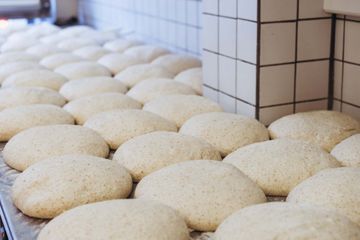 Jamur yang digunakan untuk membuat roti adalah ragi atau jenis jamur khamir.