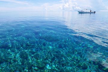 Sebaran sumber daya kelautan Indonesia hampir berada di seluruh wilayah Indonesia.