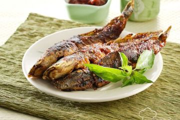 Suka Makan Ikan Lele? Ini 11 Manfaat Ikan Lele bagi Kesehatan