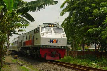 Ada bermacam-macam kereta api di Indonesia.