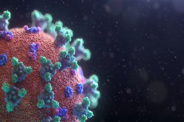 Pengelompokan Jenis Virus yang Merugikan Makhluk Hidup