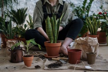 Hobi Berkebun? Ini 5 Manfaat Berkebun yang Masih Jarang Disadari