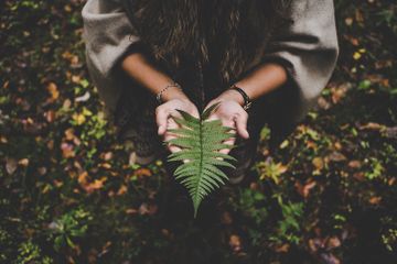 5 Organisasi Pecinta Lingkungan Hidup