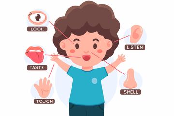 Terdapat soal seputar senses pada Bahasa Inggris Kurikulum Merdeka kelas X (SMA) Chapter II halaman 33-34, Task 2, materi Sports Events.