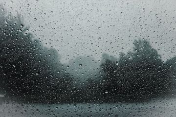 Curah hujan menjadi salah satu faktor yang memengaruhi sebaran flora dan fauna.