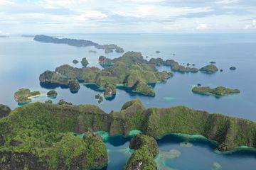 Apa Itu Papua Barat Daya?