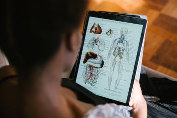 Sistem rangka pada makhluk hidup multiseluler terbagi menjadi sepuluh jenis, salah satunya sistem pernapasan.