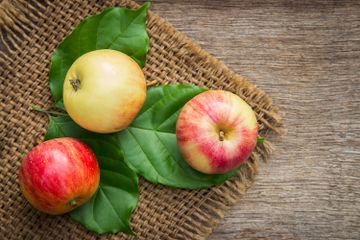 Tak Suka Pepaya? Ini 5 Alternatif Buah yang Dapat Bantu Lancarkan BAB