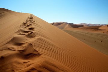 Sangat Panas di Siang Hari, Berapa Suhu Gurun Sahara pada Malam Hari?