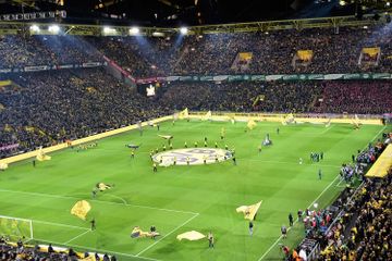 Mengapa Rumput Lapangan Sepak Bola Memiliki Pola?