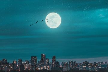Adakah Gravitasi di Bulan?